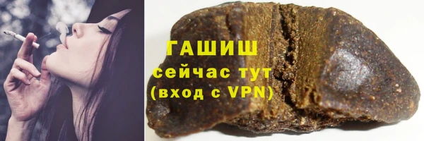 прущие грибы Алзамай