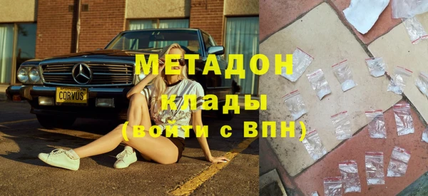 прущие грибы Алзамай
