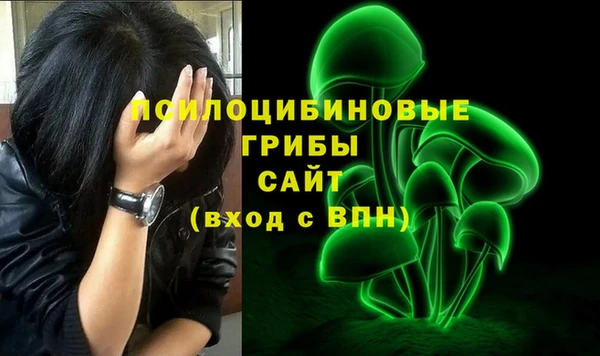 стафф Алексеевка